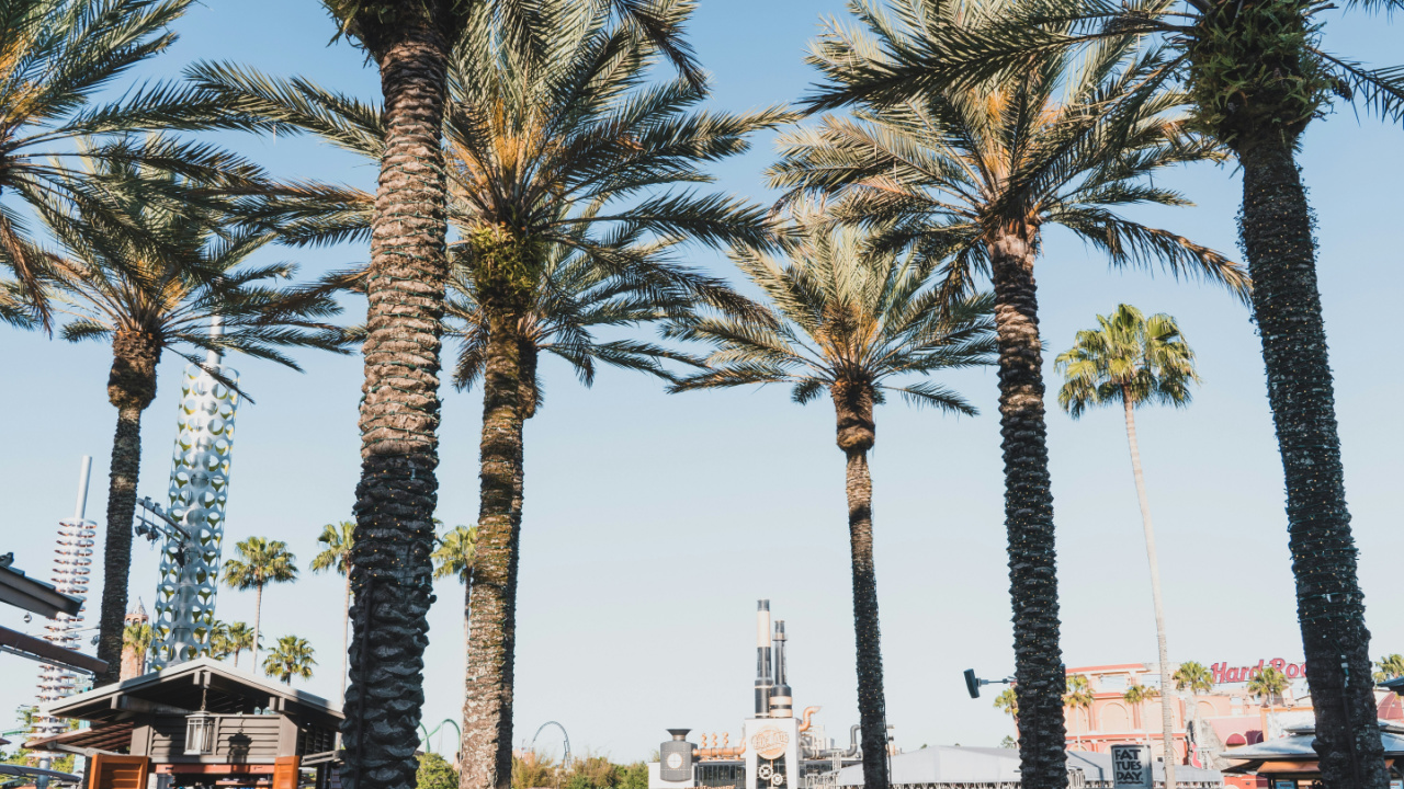 Orlando Weather in October Your Ultimate Guide Weather, Attractions, and Events