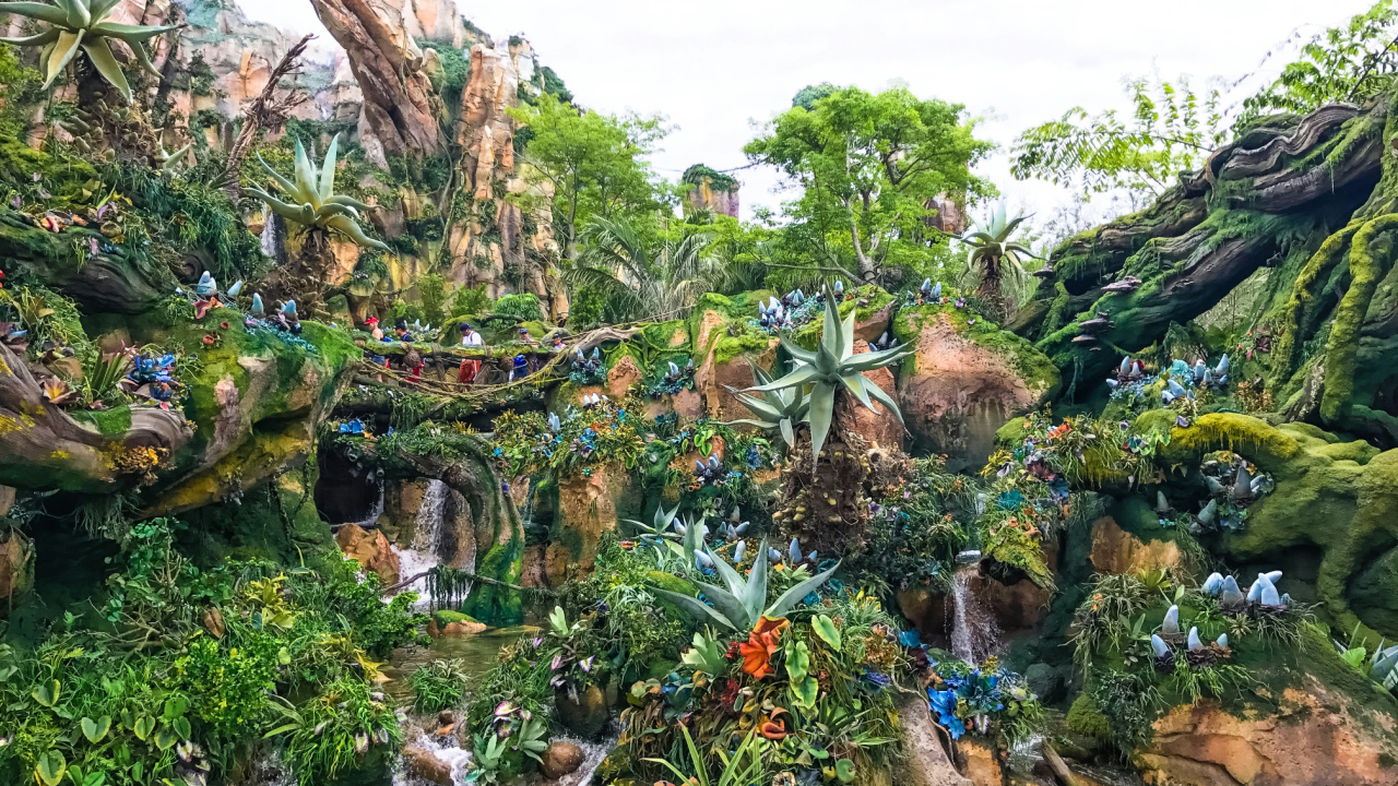 Which Disney World Park is the Biggest? Orlando Deals